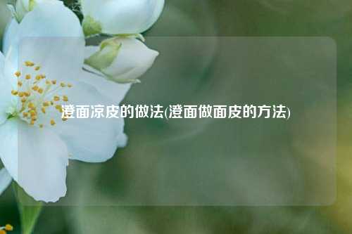 澄面凉皮的做法(澄面做面皮的方法)
