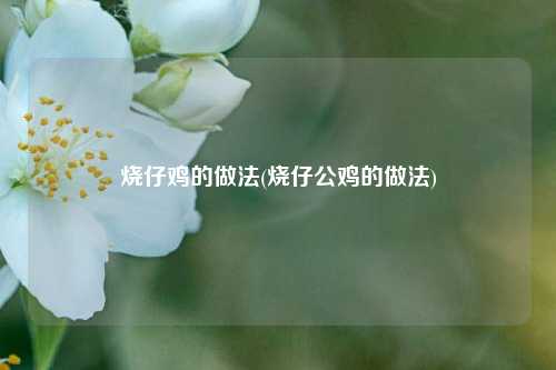 烧仔鸡的做法(烧仔公鸡的做法)
