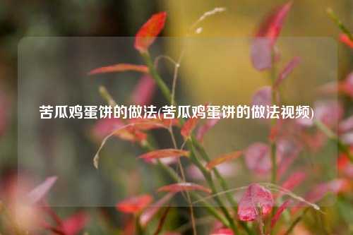 苦瓜鸡蛋饼的做法(苦瓜鸡蛋饼的做法视频)