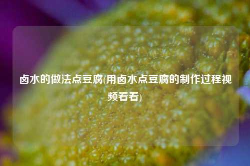 卤水的做法点豆腐(用卤水点豆腐的制作过程视频看看)