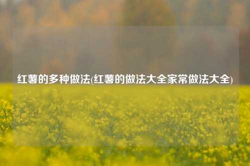 红薯的多种做法(红薯的做法大全家常做法大全)