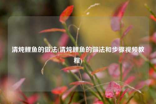 清炖鲤鱼的做法(清炖鲤鱼的做法和步骤视频教程)
