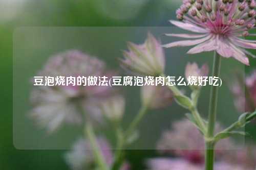 豆泡烧肉的做法(豆腐泡烧肉怎么烧好吃)