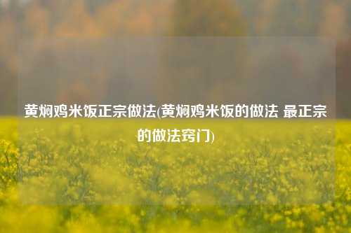 黄焖鸡米饭正宗做法(黄焖鸡米饭的做法 最正宗的做法窍门)