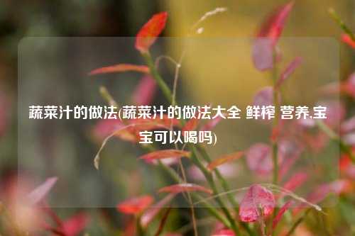 蔬菜汁的做法(蔬菜汁的做法大全 鲜榨 营养,宝宝可以喝吗)