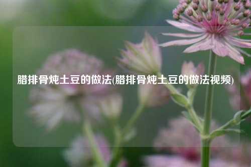 腊排骨炖土豆的做法(腊排骨炖土豆的做法视频)