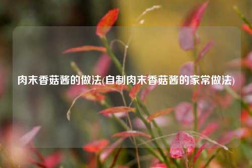 肉末香菇酱的做法(自制肉末香菇酱的家常做法)