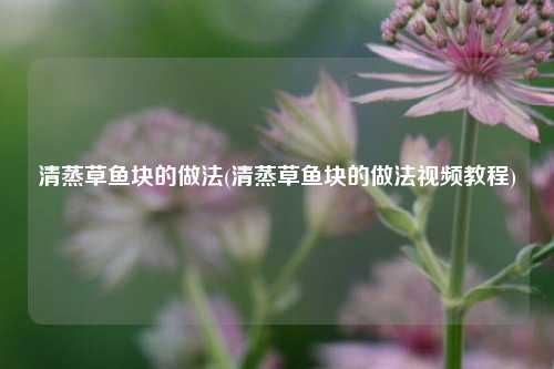 清蒸草鱼块的做法(清蒸草鱼块的做法视频教程)