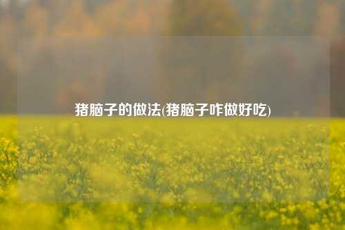 猪脑子的做法(猪脑子咋做好吃)
