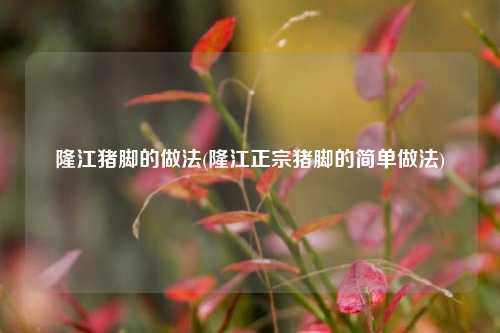 隆江猪脚的做法(隆江正宗猪脚的简单做法)