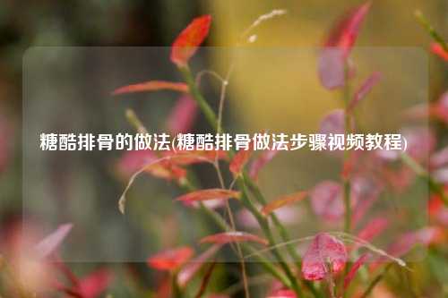 糖酷排骨的做法(糖酷排骨做法步骤视频教程)