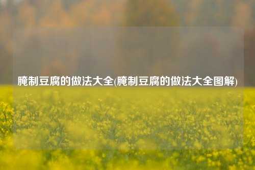 腌制豆腐的做法大全(腌制豆腐的做法大全图解)