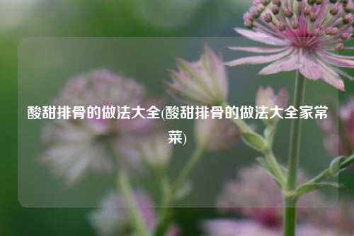酸甜排骨的做法大全(酸甜排骨的做法大全家常菜)